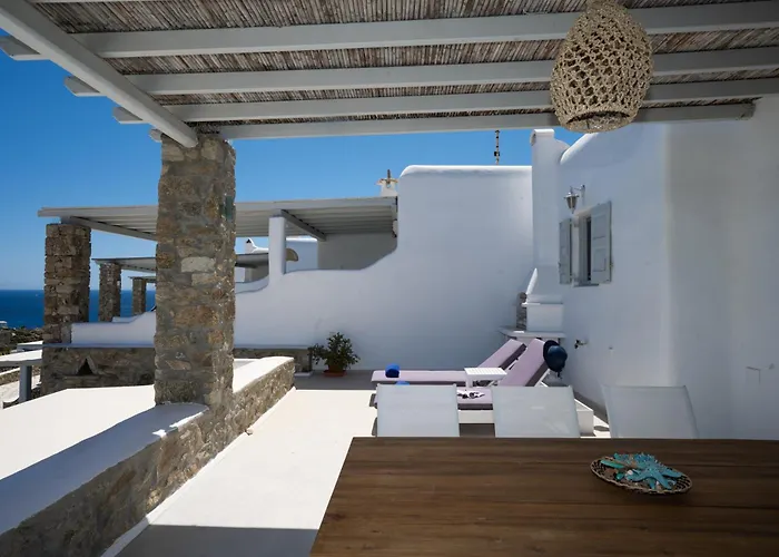 Myconian Vision * Elia (Mykonos)