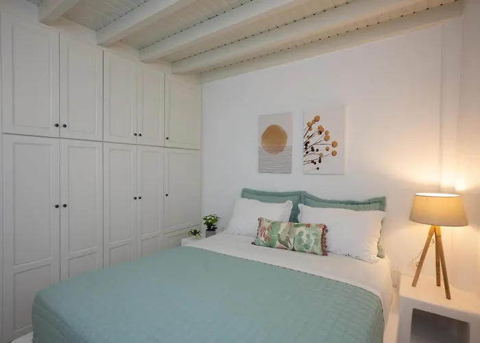 Myconian Vision * Elia (Mykonos)