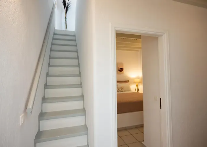 Myconian Vision Διαμέρισμα Ελιά